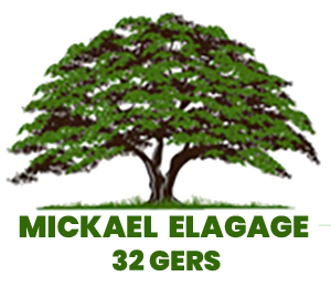 elagage-mickael-elagage
